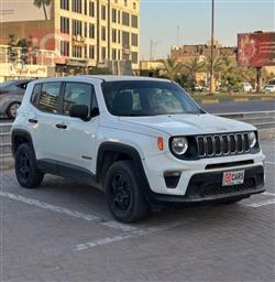 جيب رينيجيد